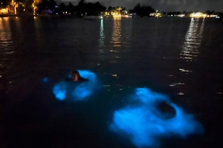 Private: Bioluminescence Tour - Photo 1 of 19
